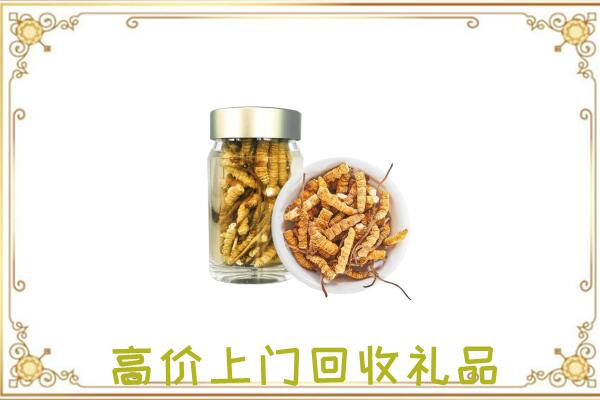 山南周边回收虫草